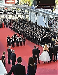 254.jpg